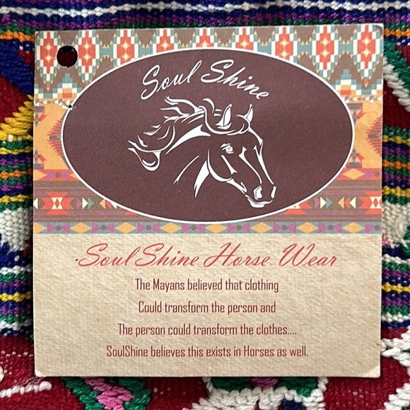 Soul Shine Horse Wear Handbag/Purse/Tote Handwoven by Mayan Indians‎ - Picture 7 of 9